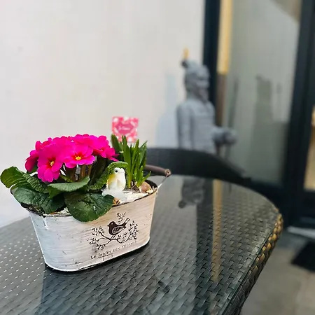 Frühstückspension D'hotes Romantique Avec Jacuzzi Prive, Parking, Apercu *